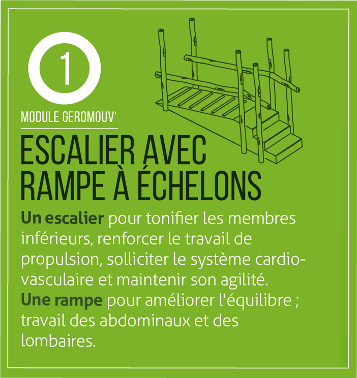 nos-modules-dexercice-escaliers-avec-rampe-a-echelons