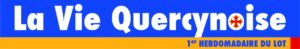 Logo_VQ_2010